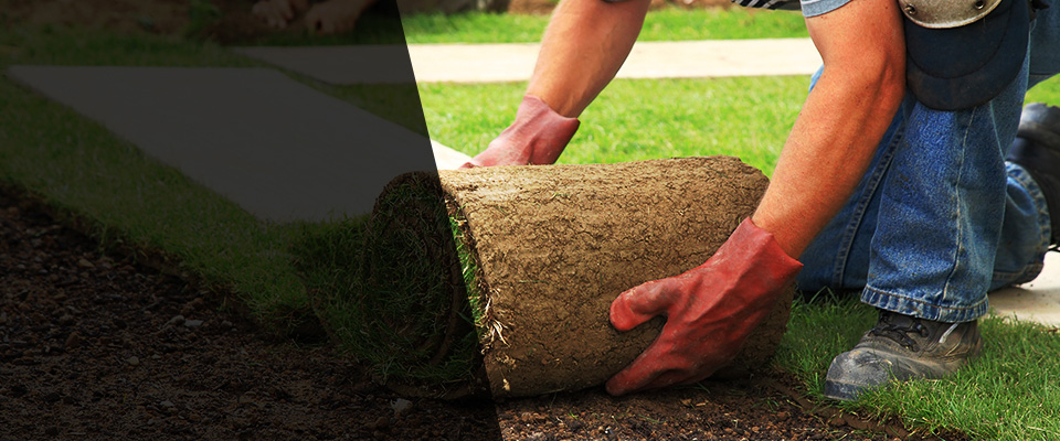 Huntington Beach Landscapers